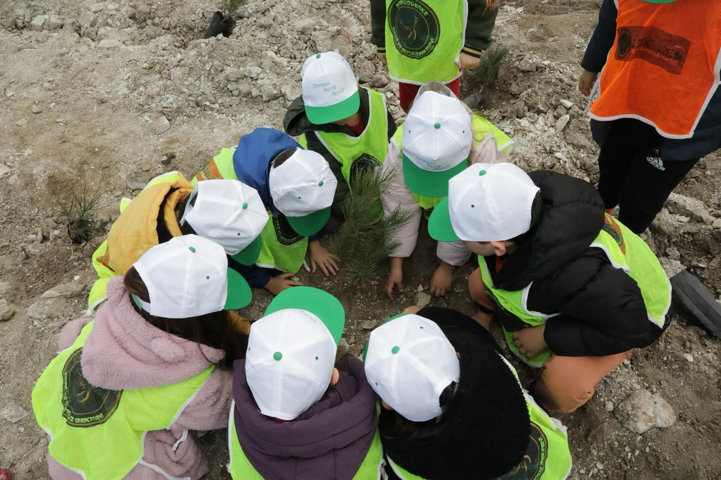 3Fe5F455 C0F5 4Ed0 Abd5 Bc13792449F1