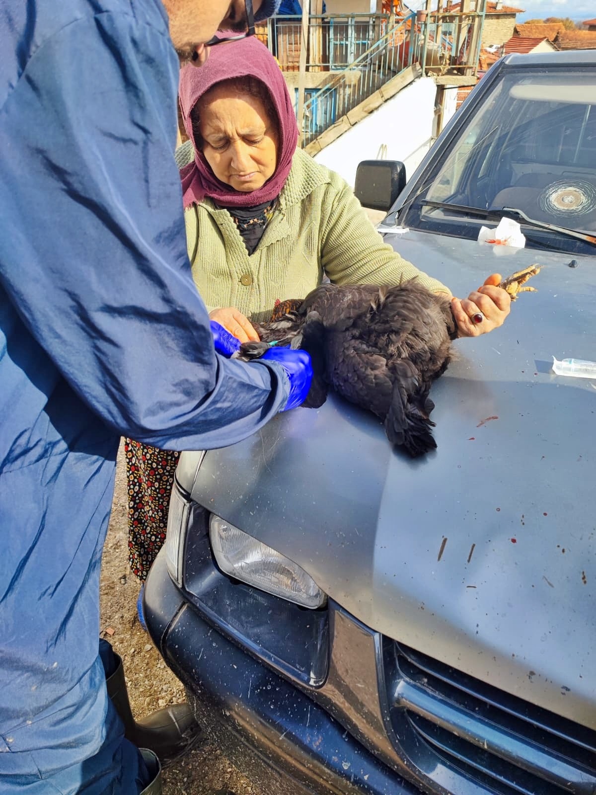 533508De 5A3E 42Bf 8Bc4 03B9Cebd829F