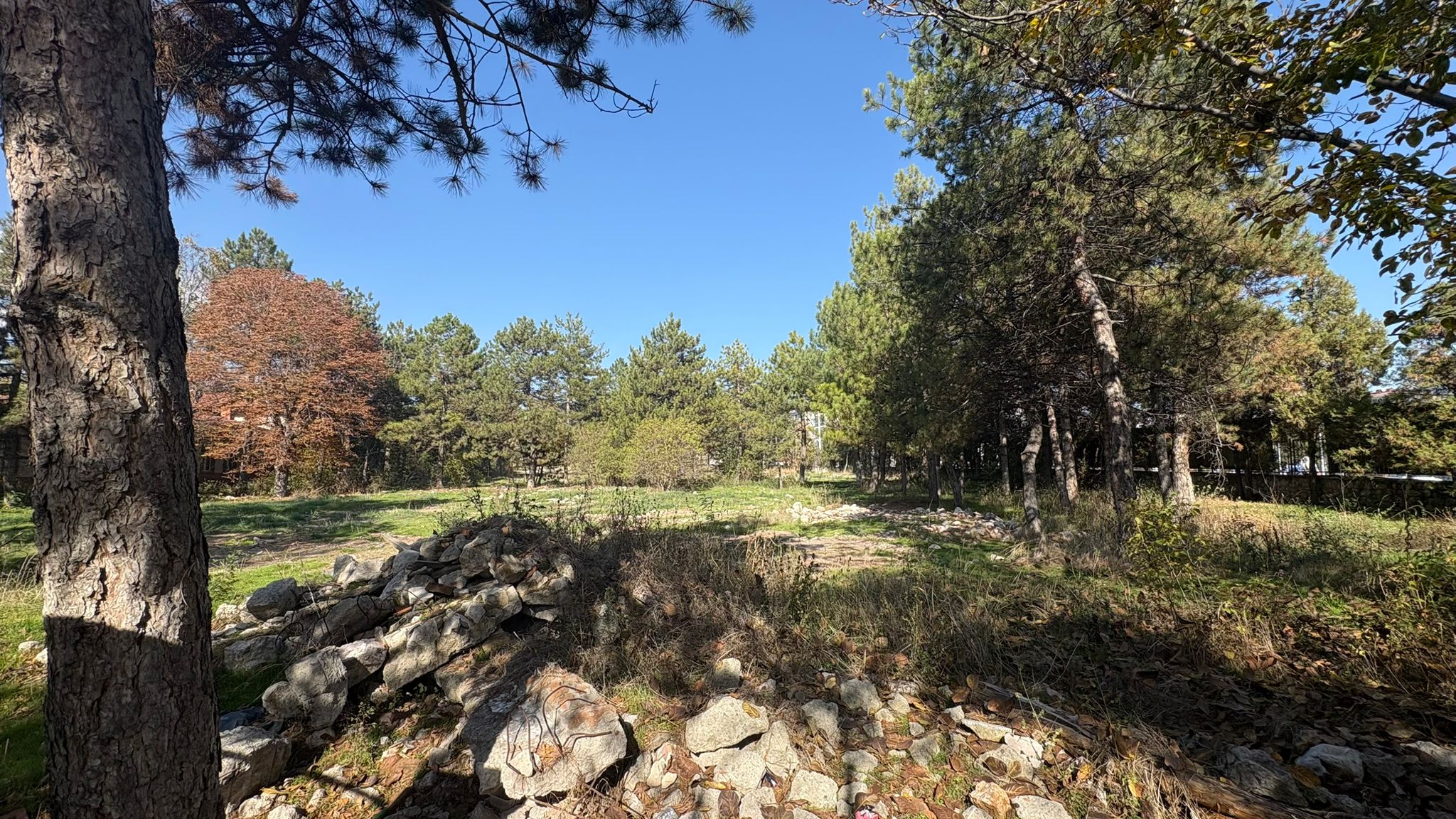 562E98Fa F47E 4Ffe B1C4 Cf027Dcb2556