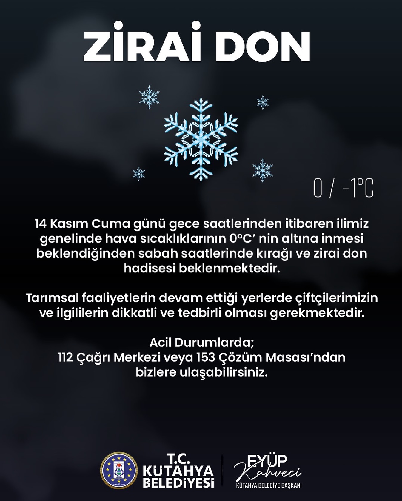 581805381 18398594122134776 2271712627373656868 N