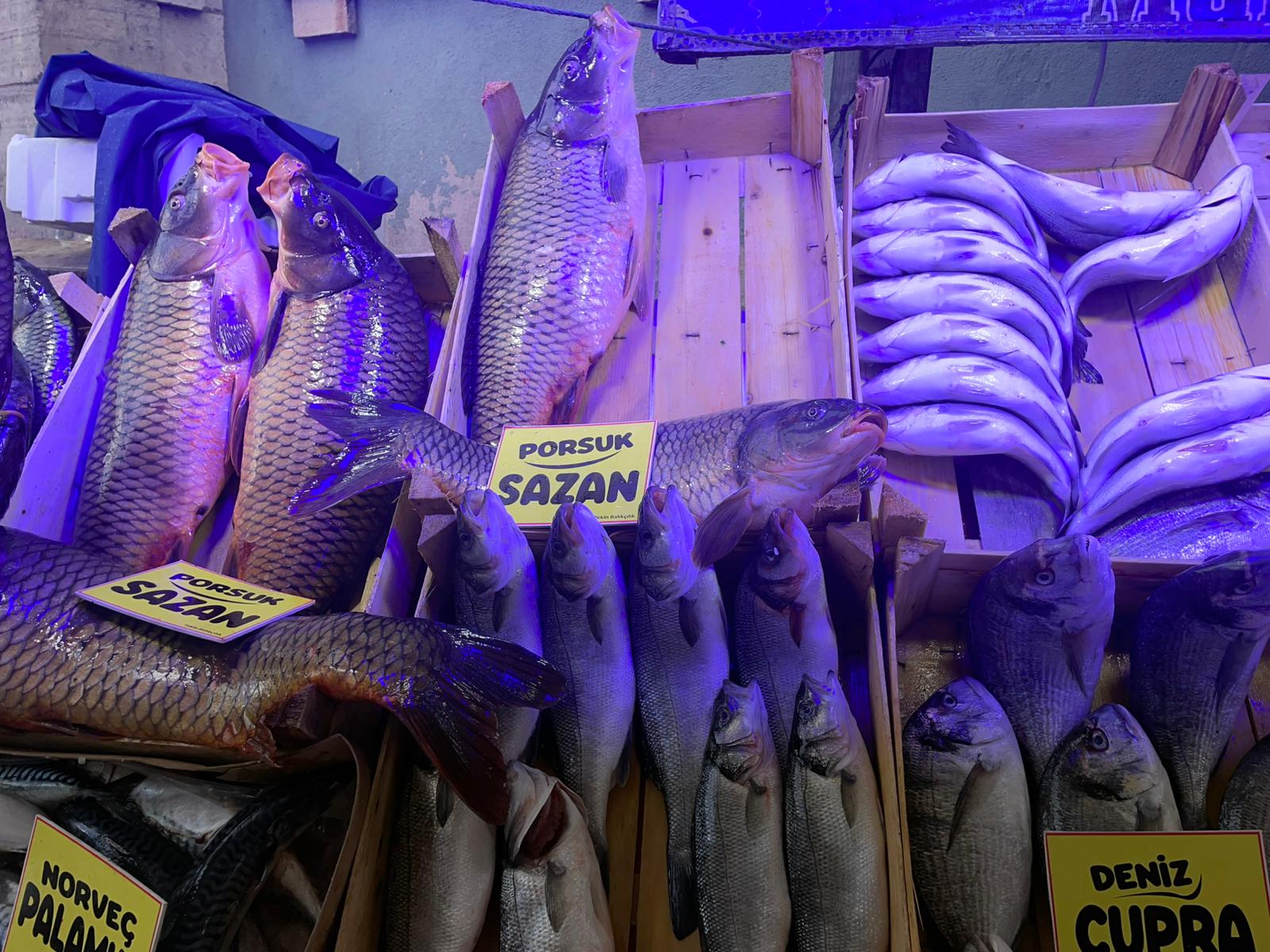 6000202F 3Cf4 4741 9D93 2Abd74B50301