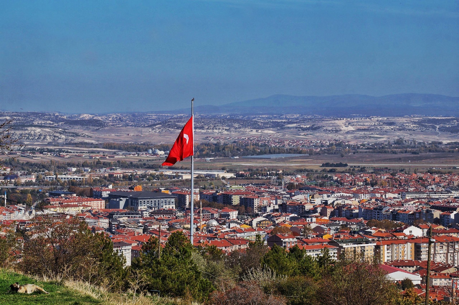 62517Cb2 8099 45Aa A21F 5D0Bcc5904F0