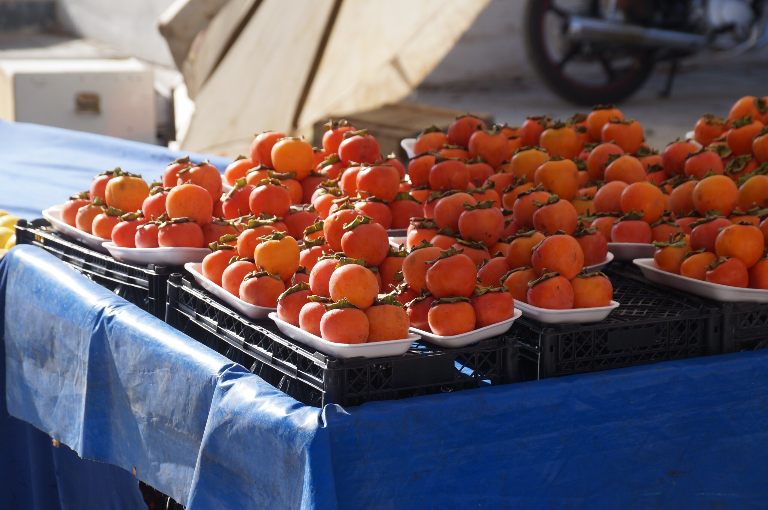 6991E002 3B07 4E3B A6A3 5160Cba0367E