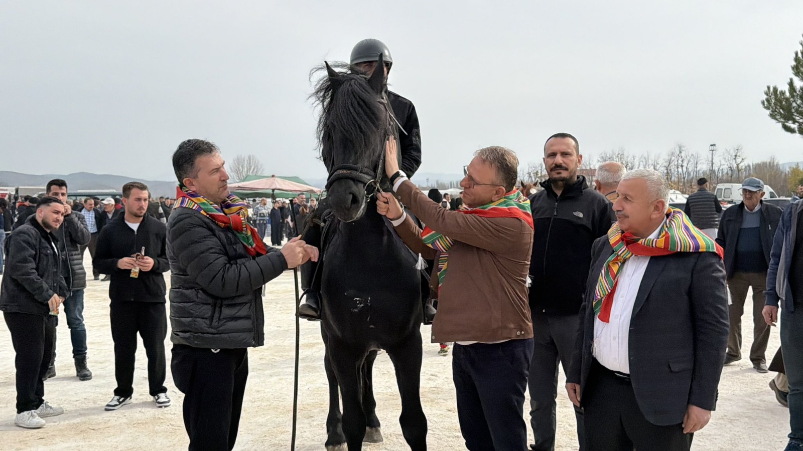 6F74846E 41F7 4E98 9C8E 571549E228A5