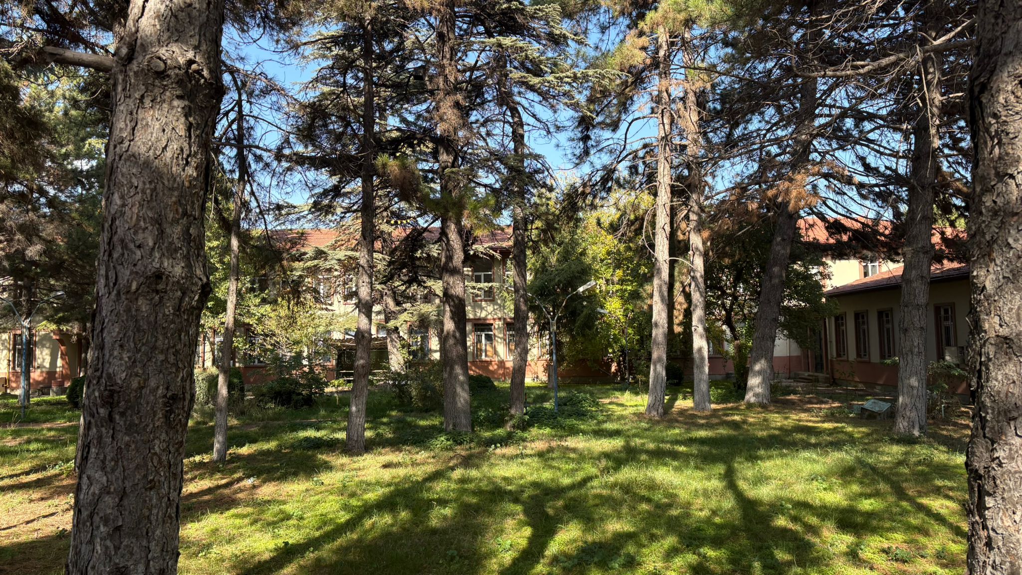 7B206584 36Af 467D 9A42 11E5830Ed37B