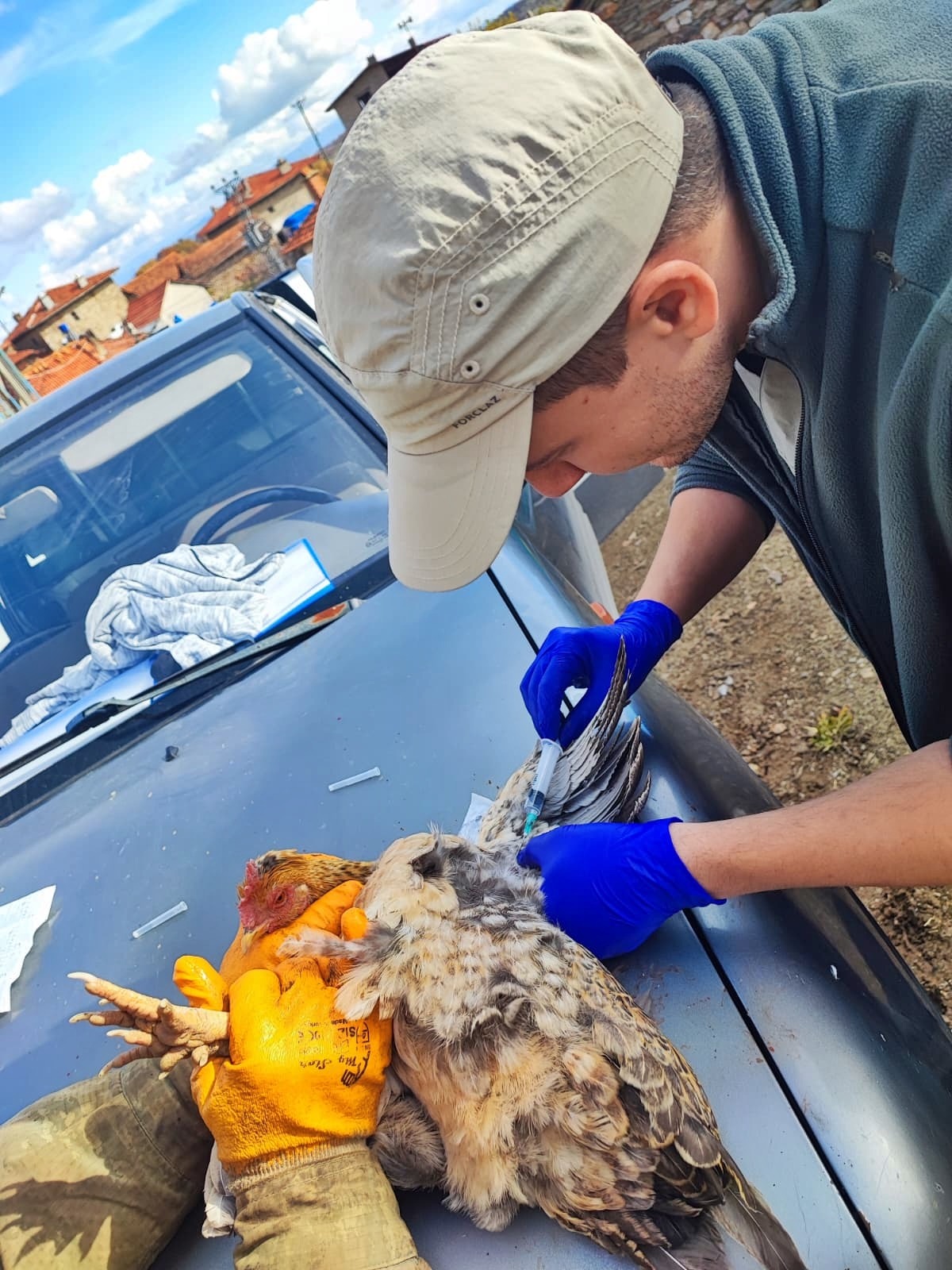 7D07F328 E508 40C1 Ae2C 8Bbdb41Eff08