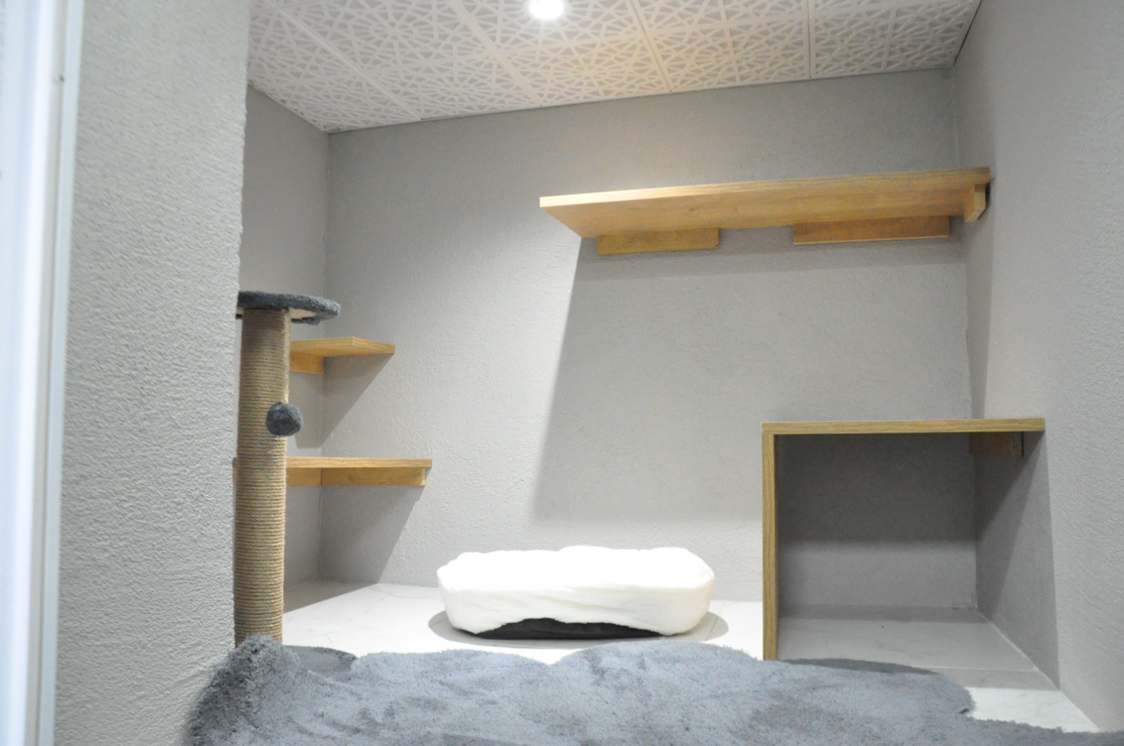 7D822C97 F167 4C72 9610 952C99C4Ae90