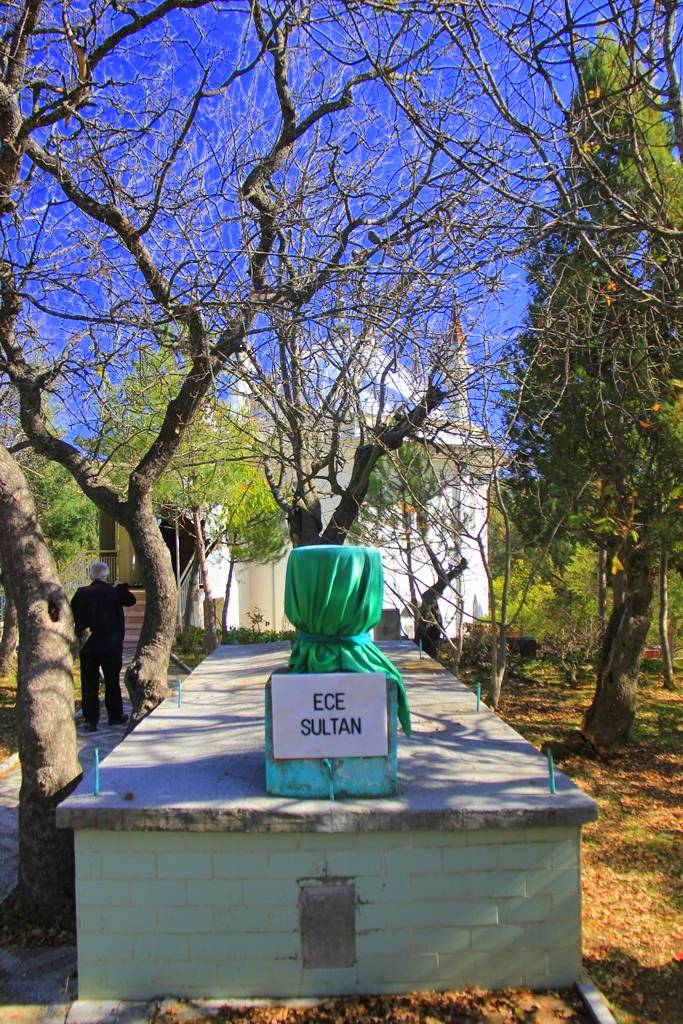 81Bc40D1 D720 4Db9 Bf09 C95F8Ae5Ff8C