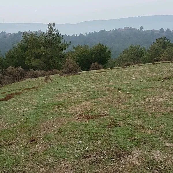 86100370 Dmenvmsxcgl E8Jkynbnsnxlajphqxbwtn9Lbdojqdc