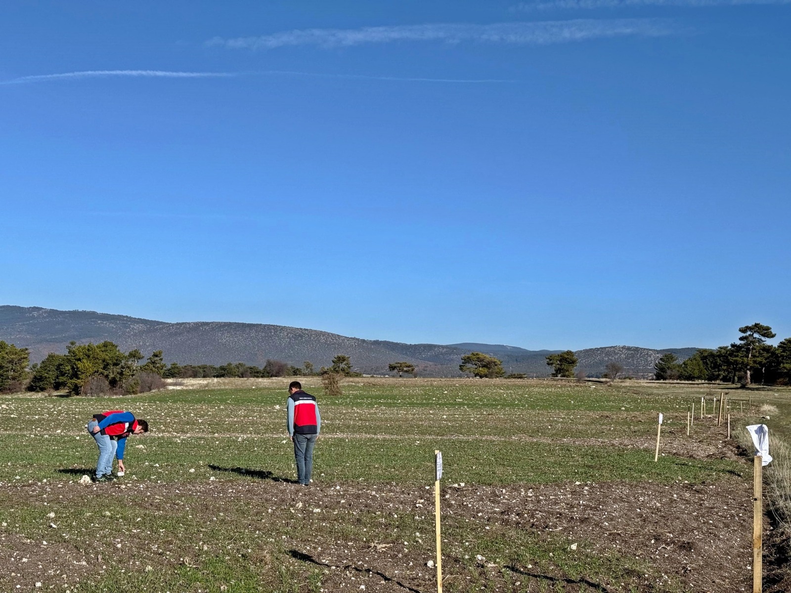 89A9D044 6F17 47A9 Abb1 34D01129D4B7