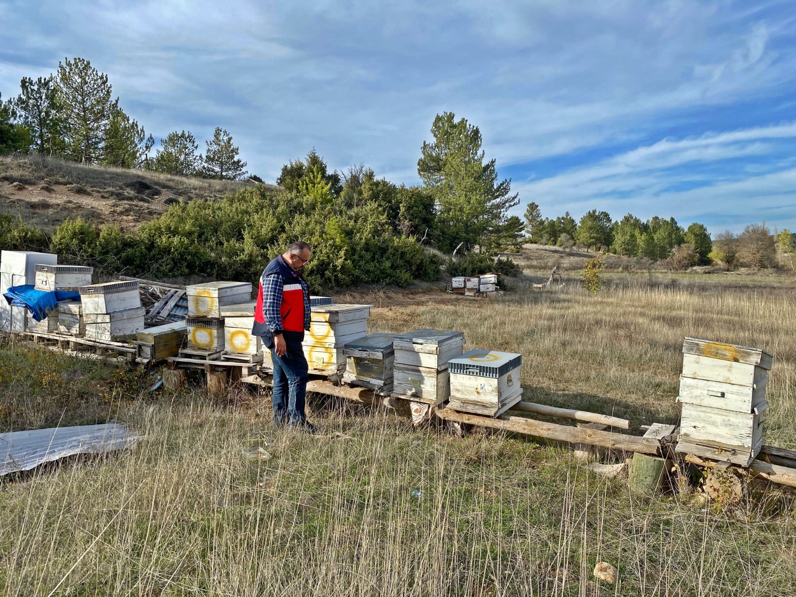 8Cc2Bf06 29D7 44E4 9Ccc 52Ed728F5Cb4