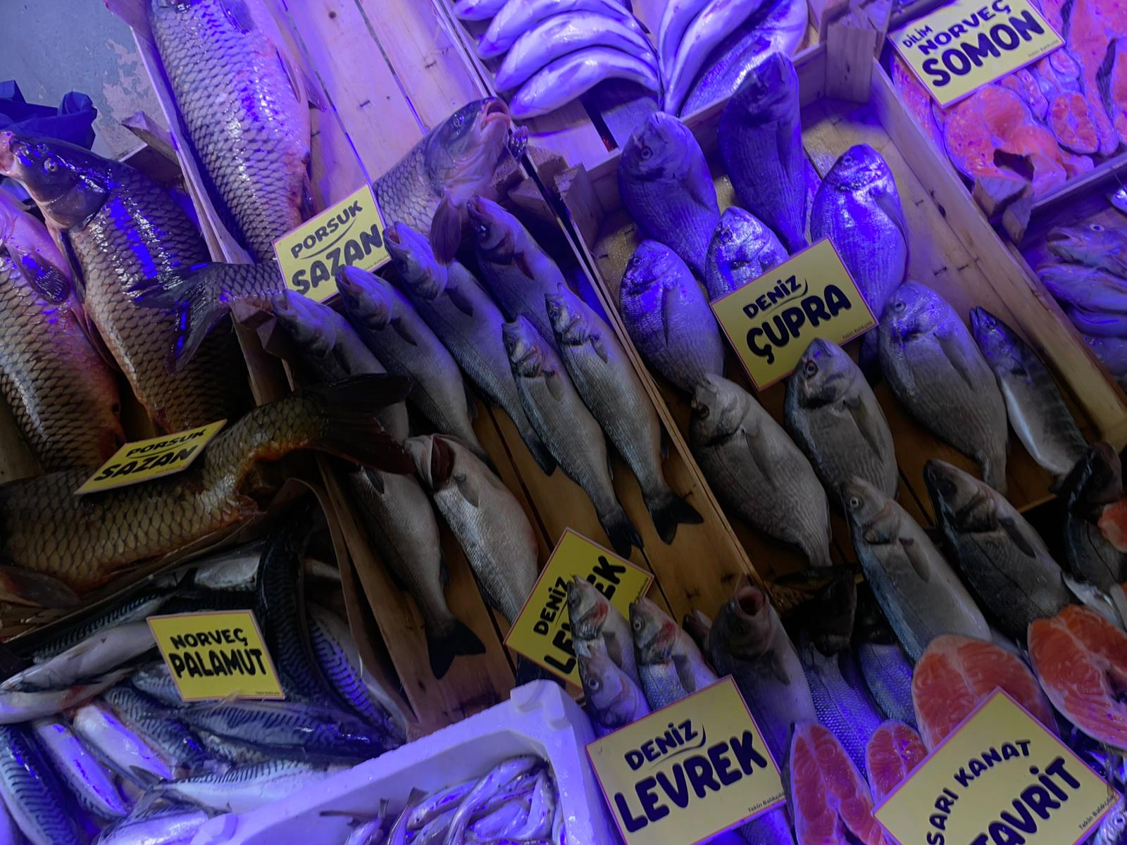 926E1621 Db55 401C B667 65E038628D3B