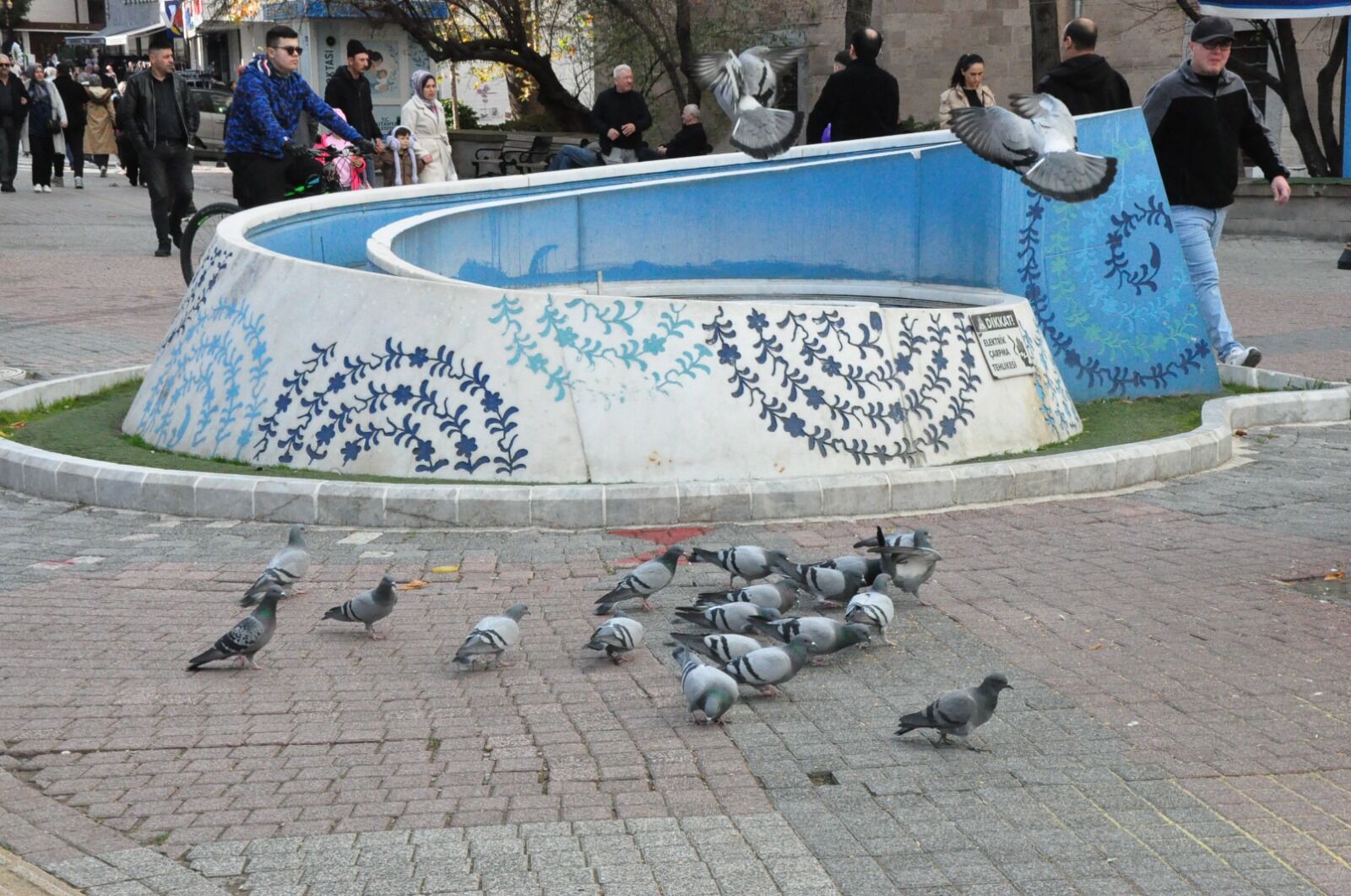 9370B077 477F 4956 A113 239Fc97F01Cb