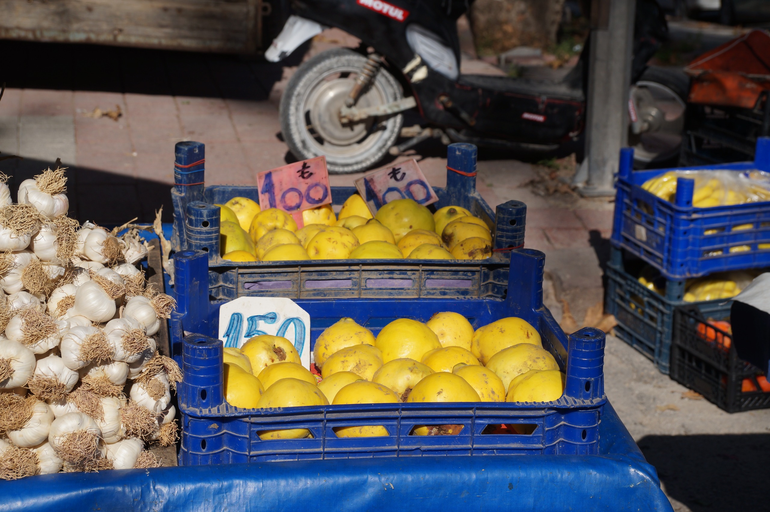 B4410630 52A8 48A6 86Cd 308280E6B186