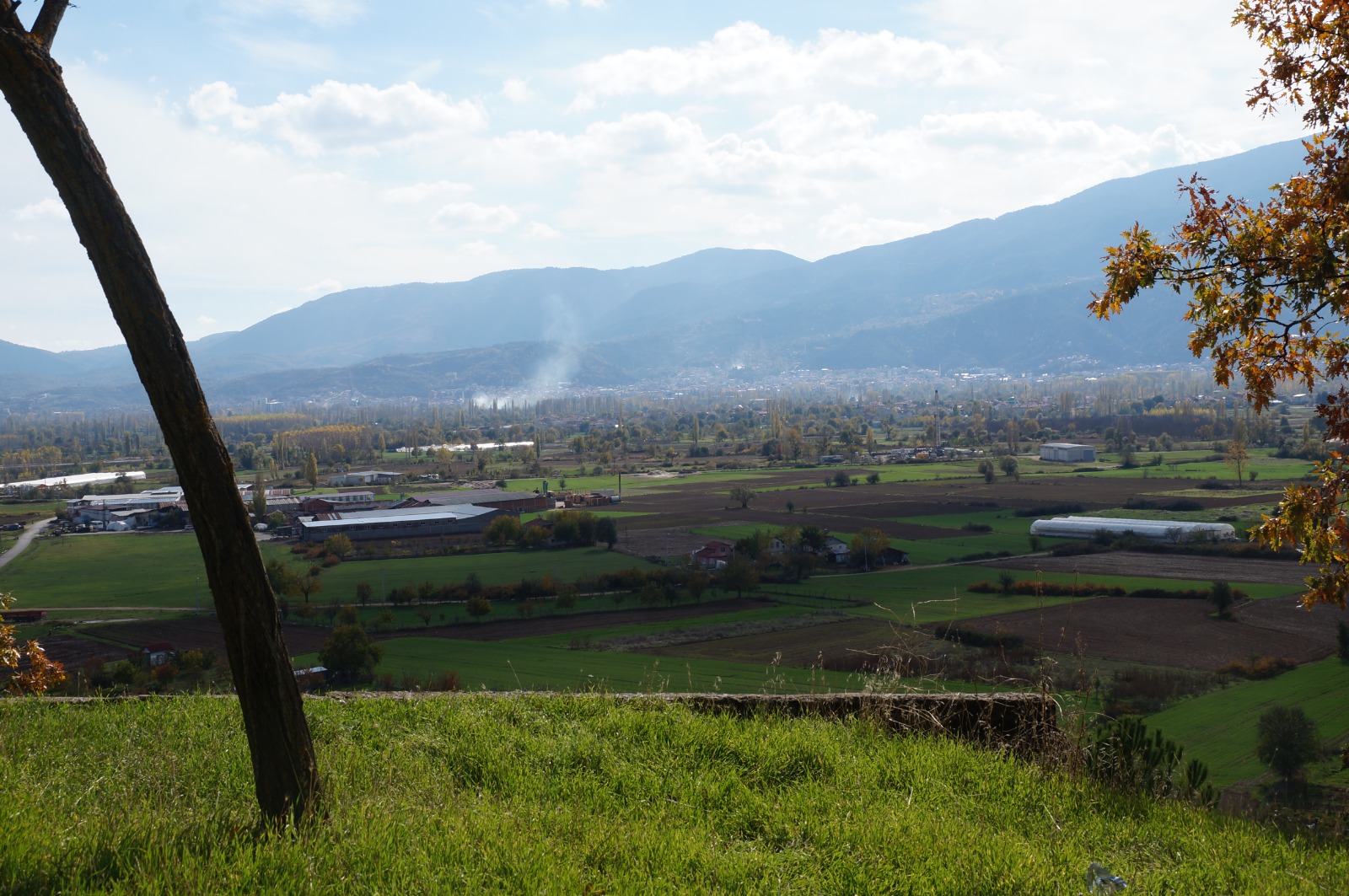 D314Ddd0 557B 4851 8D95 053B31C398F3