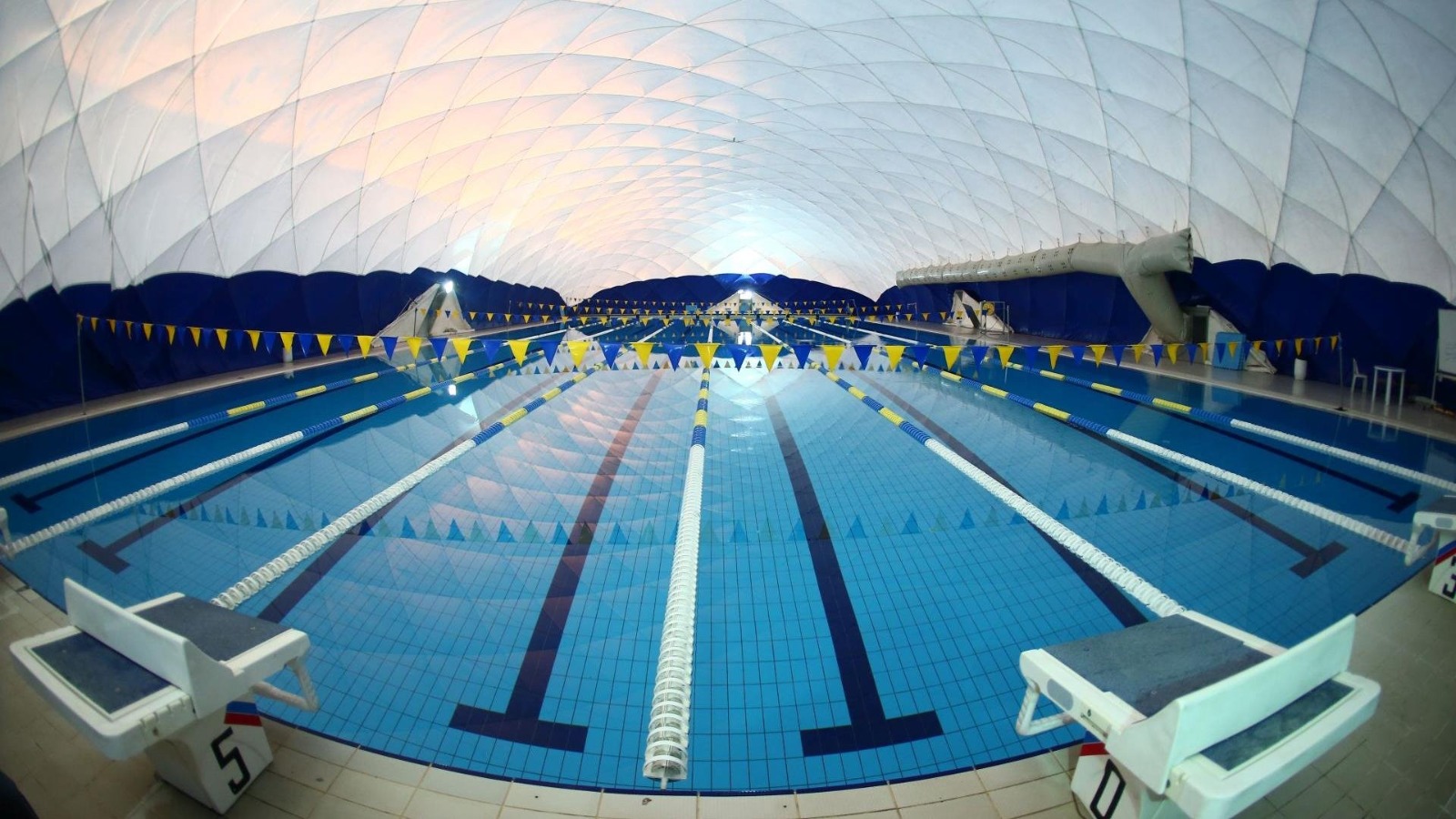 Da85B9Df B052 4D02 8Bfc 7801E303Ffe9