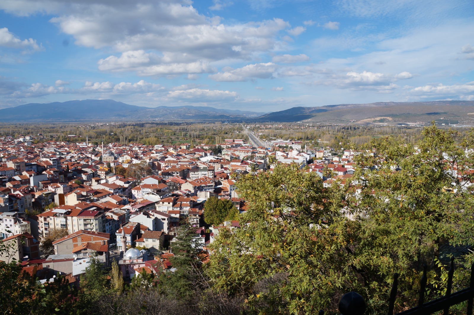 Dd734367 0F5F 4435 Bef5 63D9Fe963137