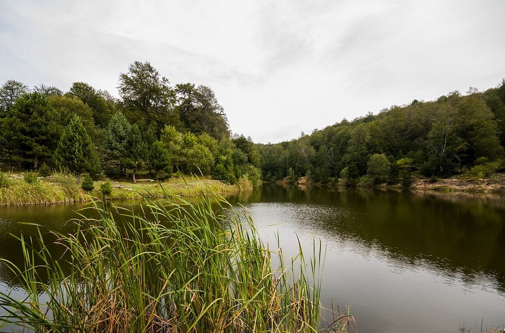 Getlstd Property Photo