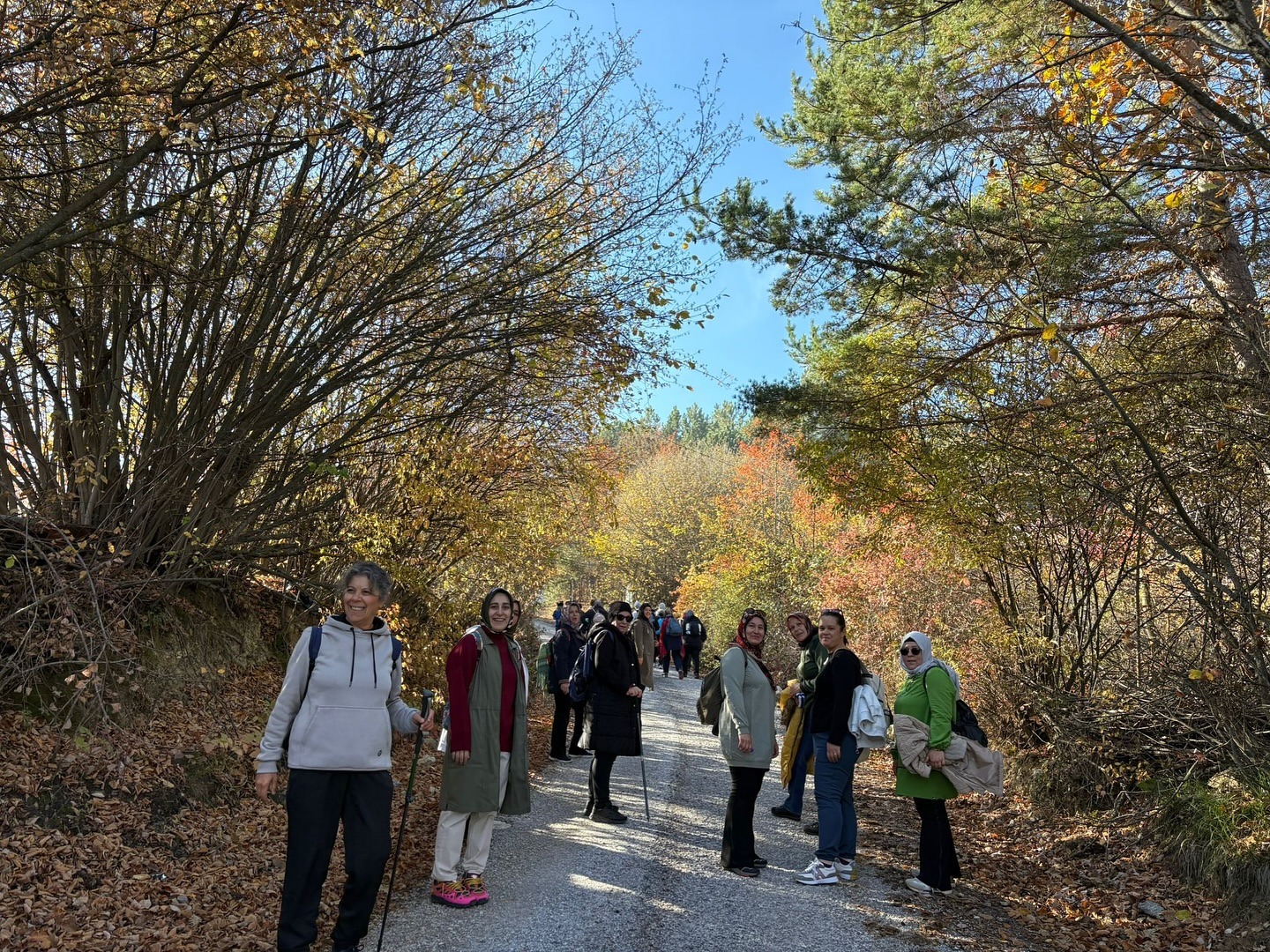 Whatsapp Image 2025 11 01 At 5.01.07 Pm (1)