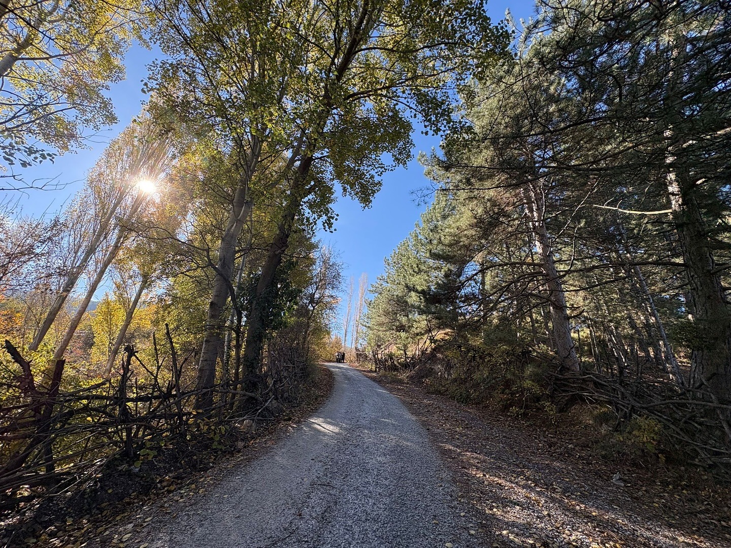 Whatsapp Image 2025 11 01 At 5.01.07 Pm