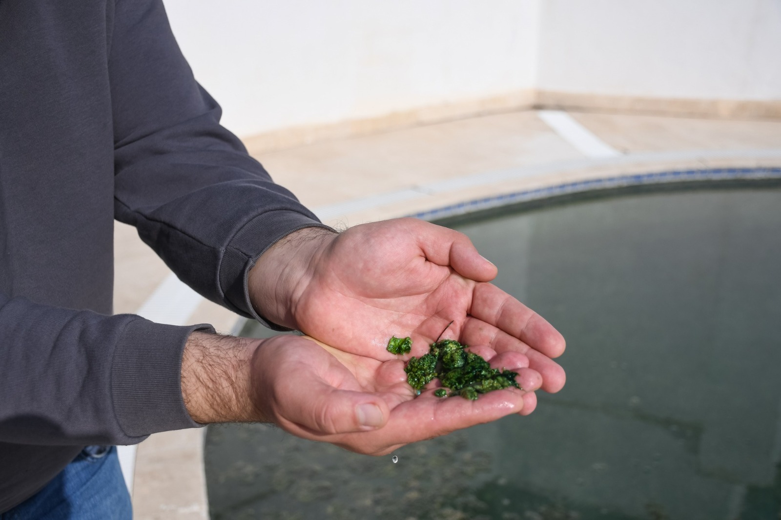 Whatsapp Image 2025 11 08 At 3.55.16 Pm (1)