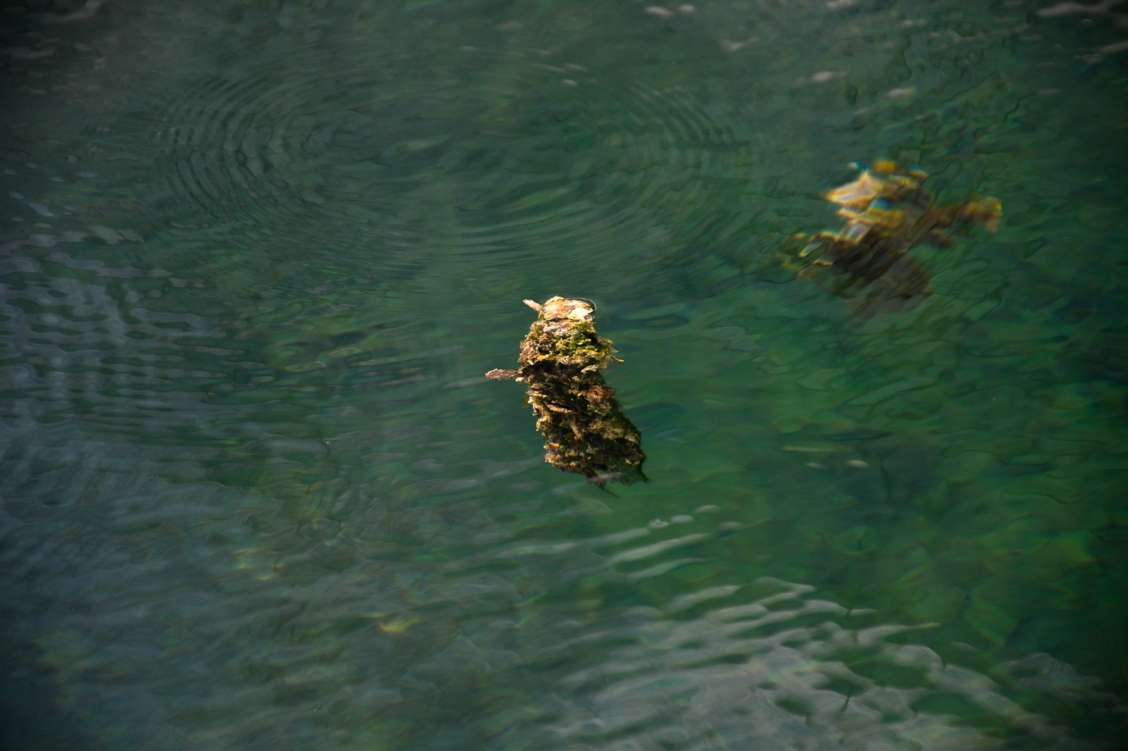 Whatsapp Image 2025 11 08 At 3.55.17 Pm