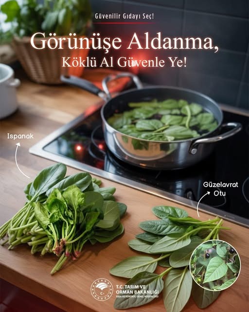 Whatsapp Image 2025 11 15 At 2.26.41 Pm