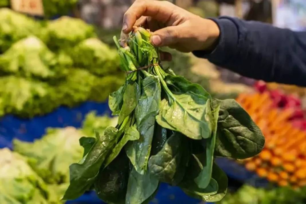 Whatsapp Image 2025 11 15 At 2.27.09 Pm