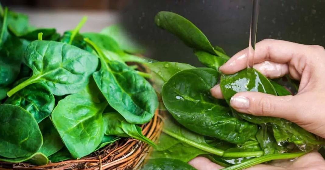 Whatsapp Image 2025 11 15 At 2.27.27 Pm