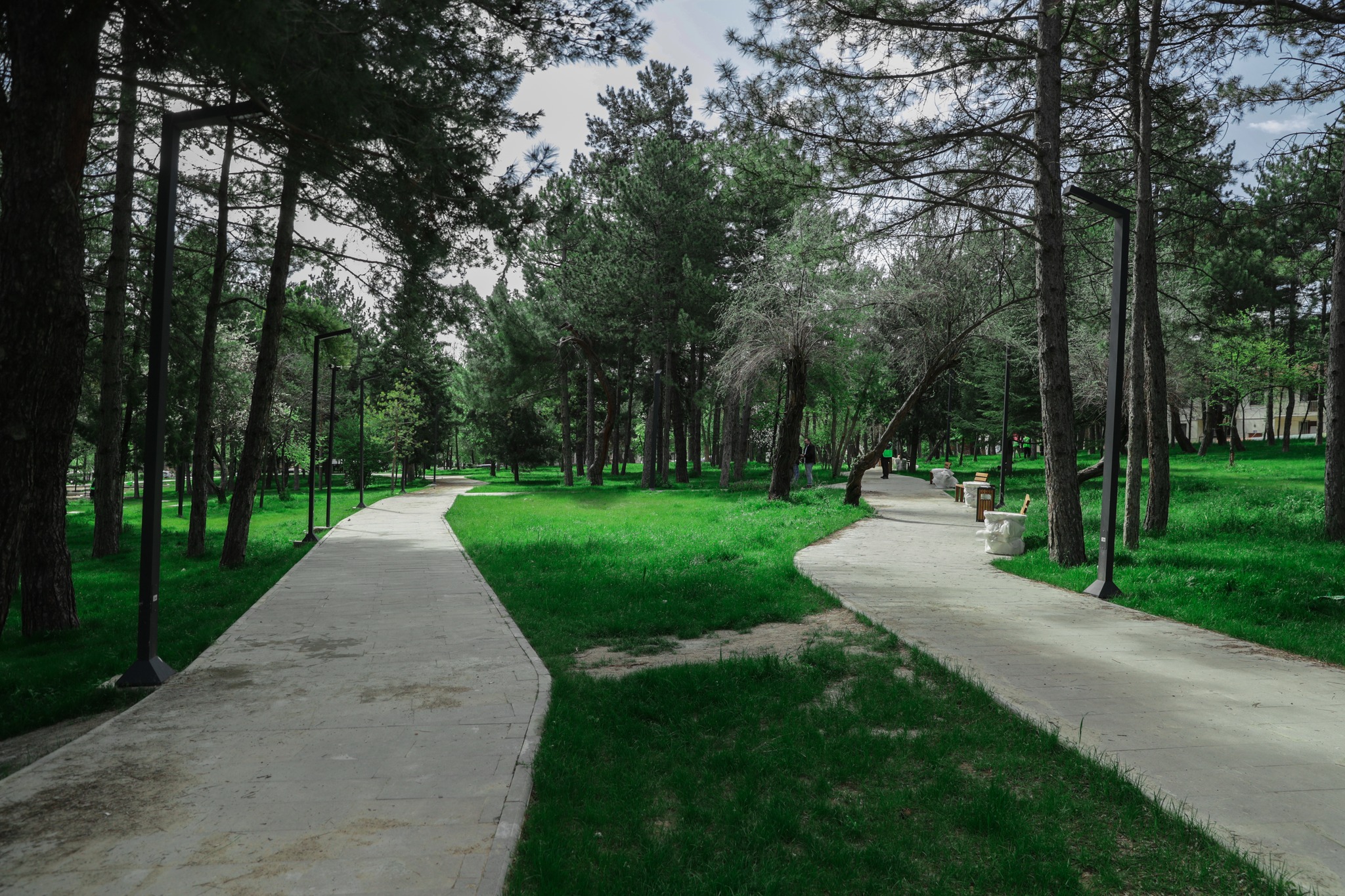 479522275 1052187343609435 7258929536792105582 N