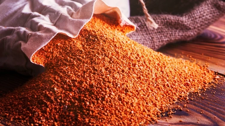 630243Ec4E3Fe025C4Fb1C7E