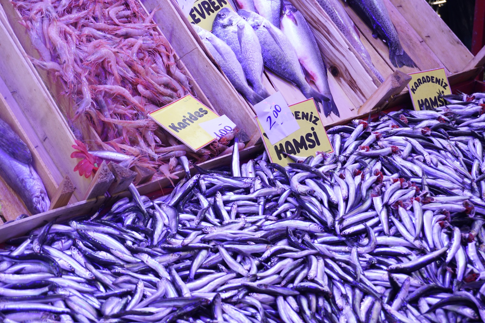 92Cdb5Af 5753 4A99 8160 B3D6E4Cd0626