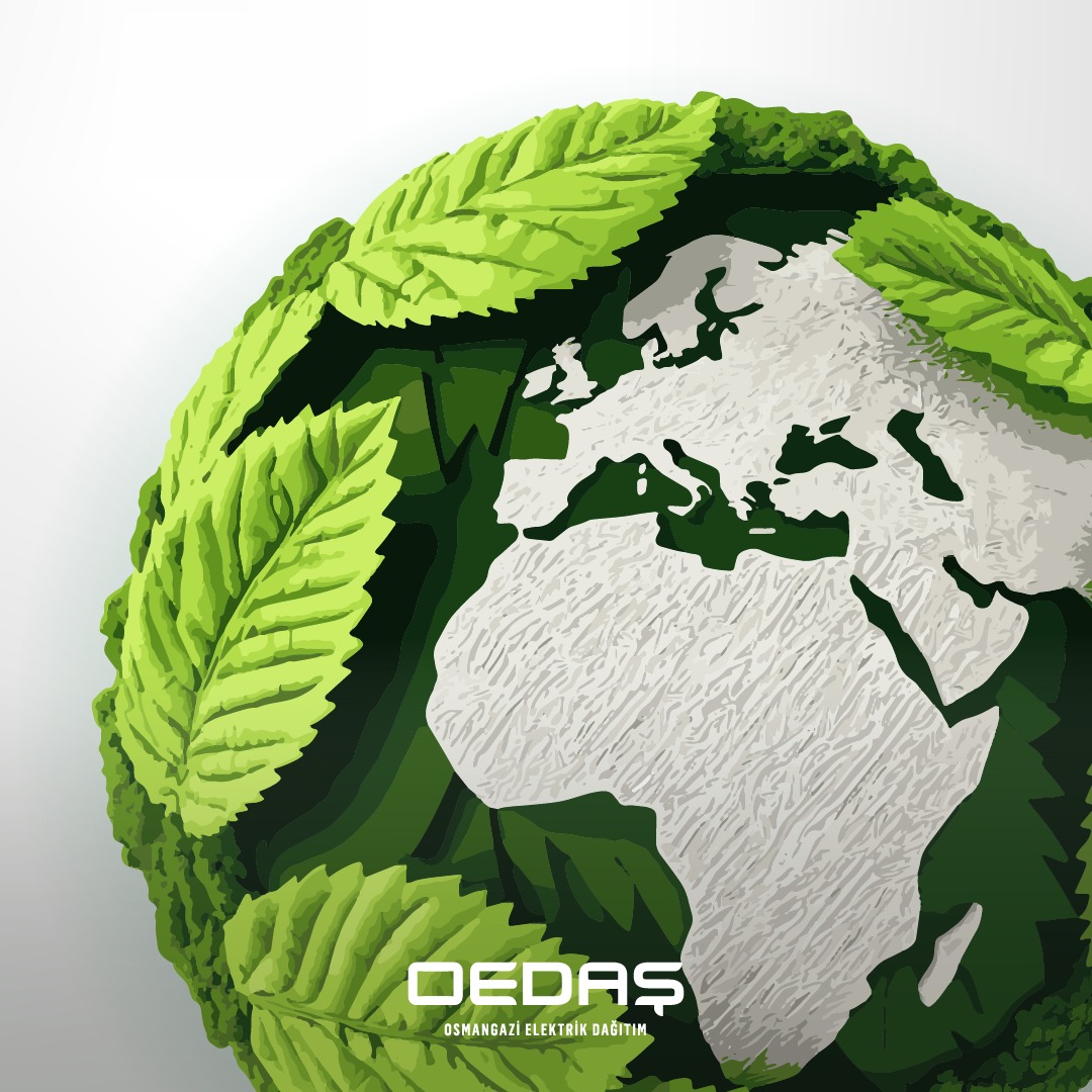 A958433D 89E7 4599 A569 B9003Fc11841