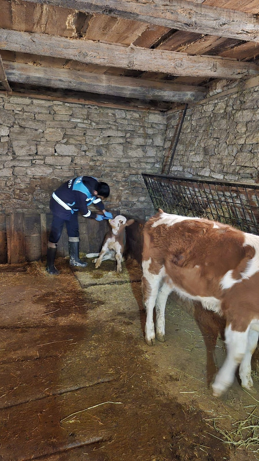 Acd4Fa48 7Eb7 43Fb A3E7 374D471E62D1