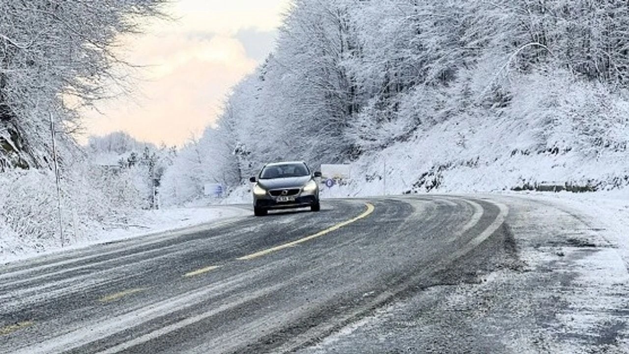 C92F9B77 71B4 4465 A1Ad 5Cf942F8559F-1