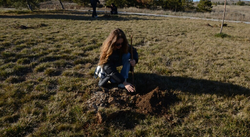 Db935E14 0B3B 4831 9A2B 0Ade6423Fdd2