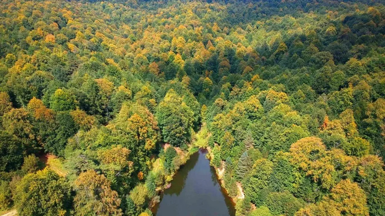 Kütahya’nın İlçeleri Ve Mahalleleri Hakkında Rehber (3)