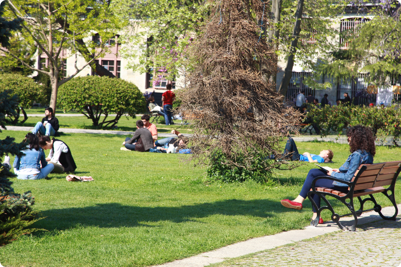 Rounded In Photoretrica (32)