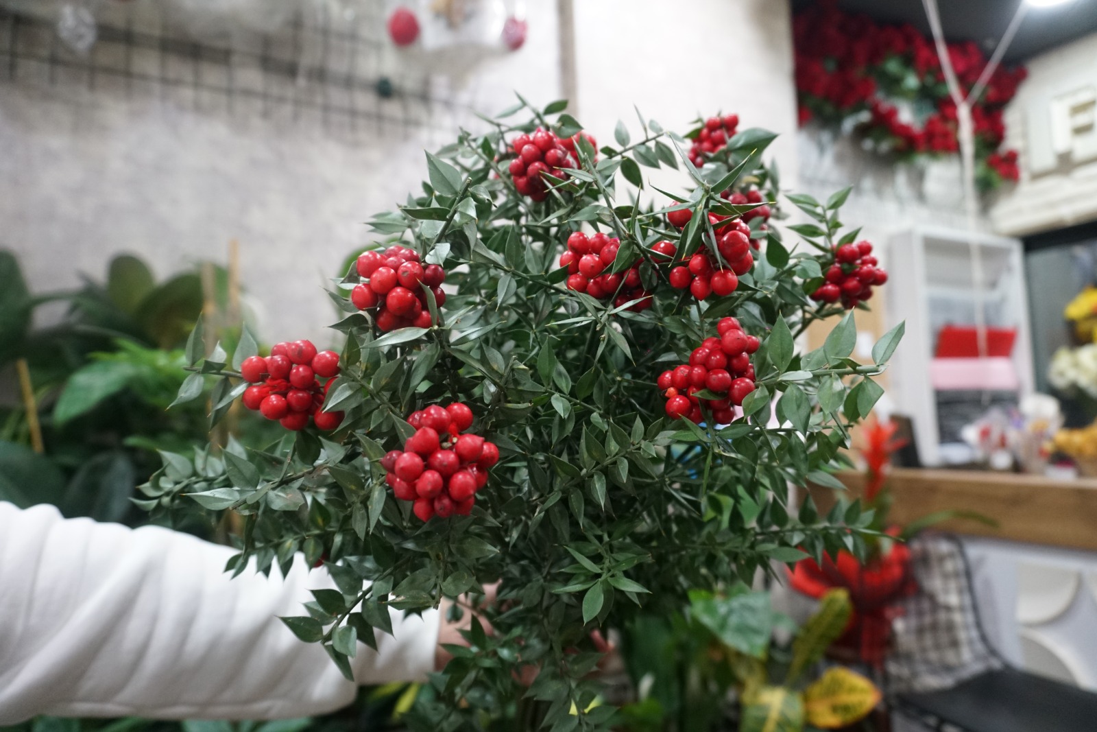 Whatsapp Image 2025 12 08 At 3.44.31 Pm