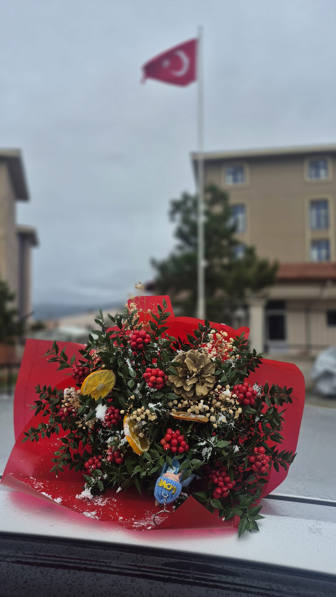 Whatsapp Image 2025 12 08 At 3.44.47 Pm