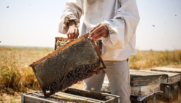 Whatsapp Image 2025 12 18 At 2.35.15 Pm