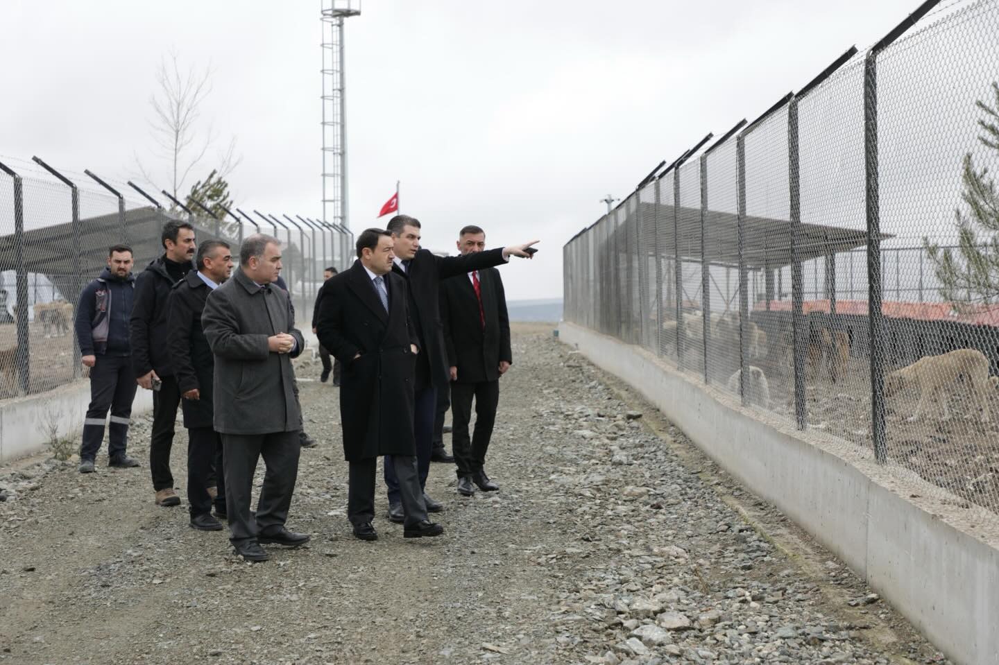 Whatsapp Image 2025 12 23 At 4.33.39 Pm