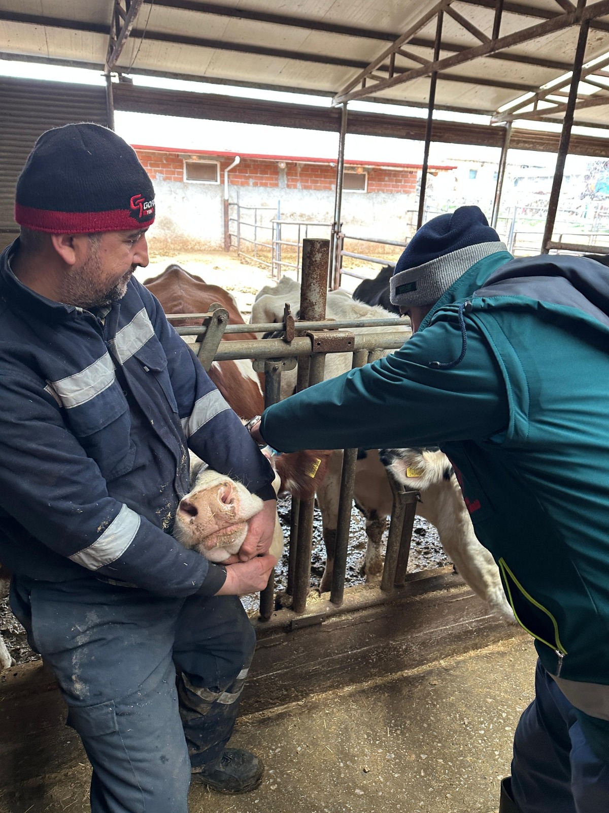 3E43Cde1 A67F 4Ec0 Ac8F Ac996C632431