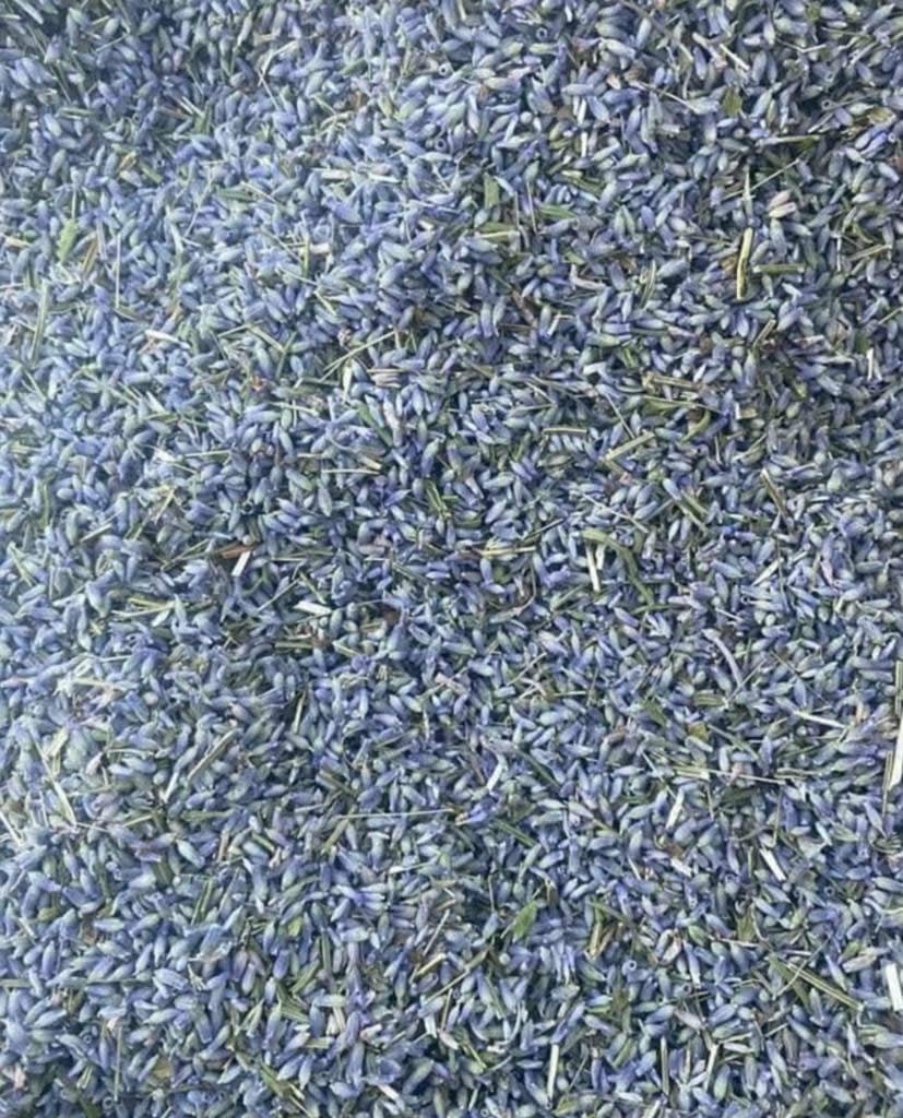 4Ae65Bbf 60A9 4A92 8Ef7 37716B57A322