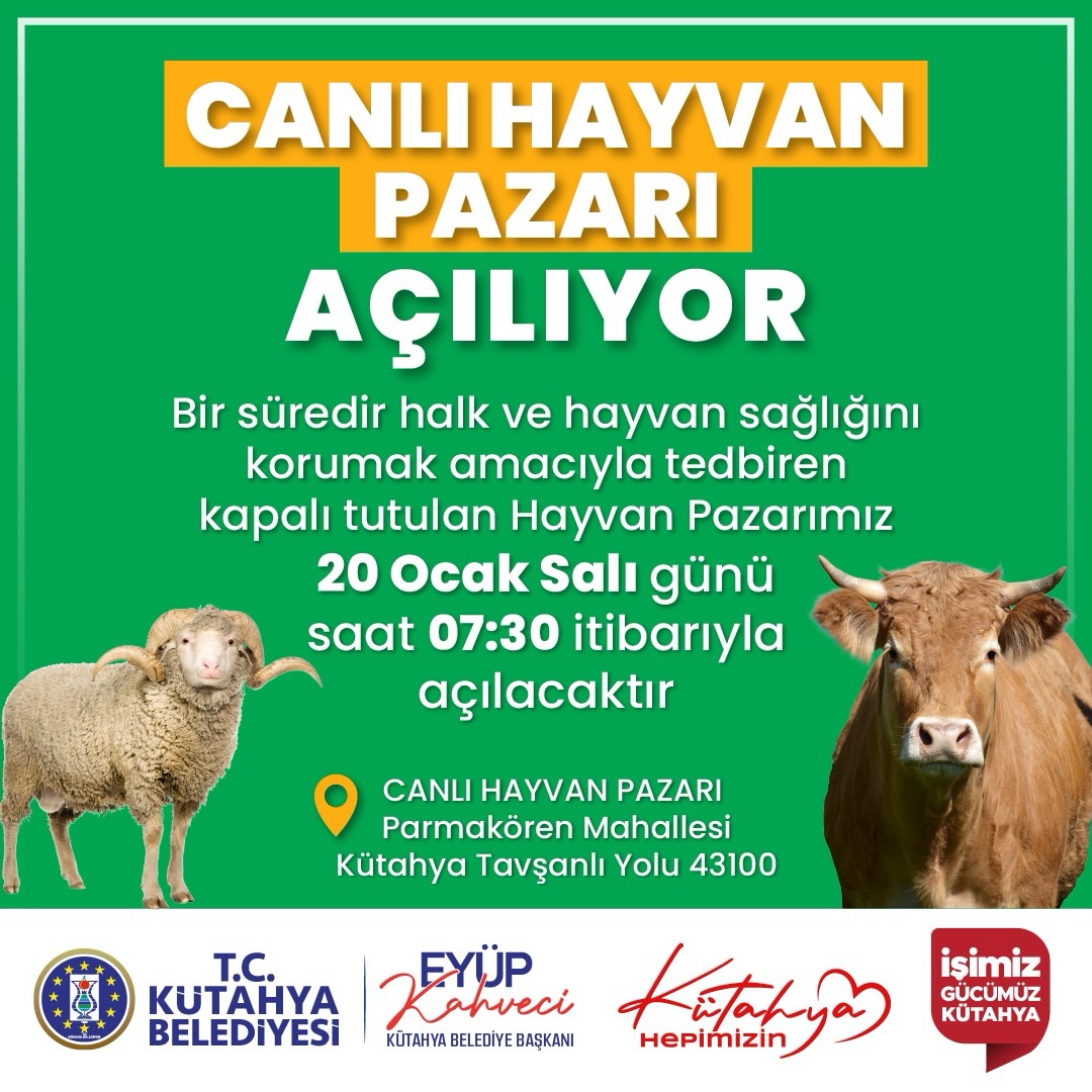 618384179 18405818605134776 8247524265318611006 N