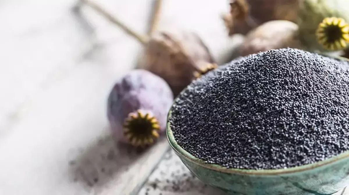 62Ce7213Ea383486568F01B4