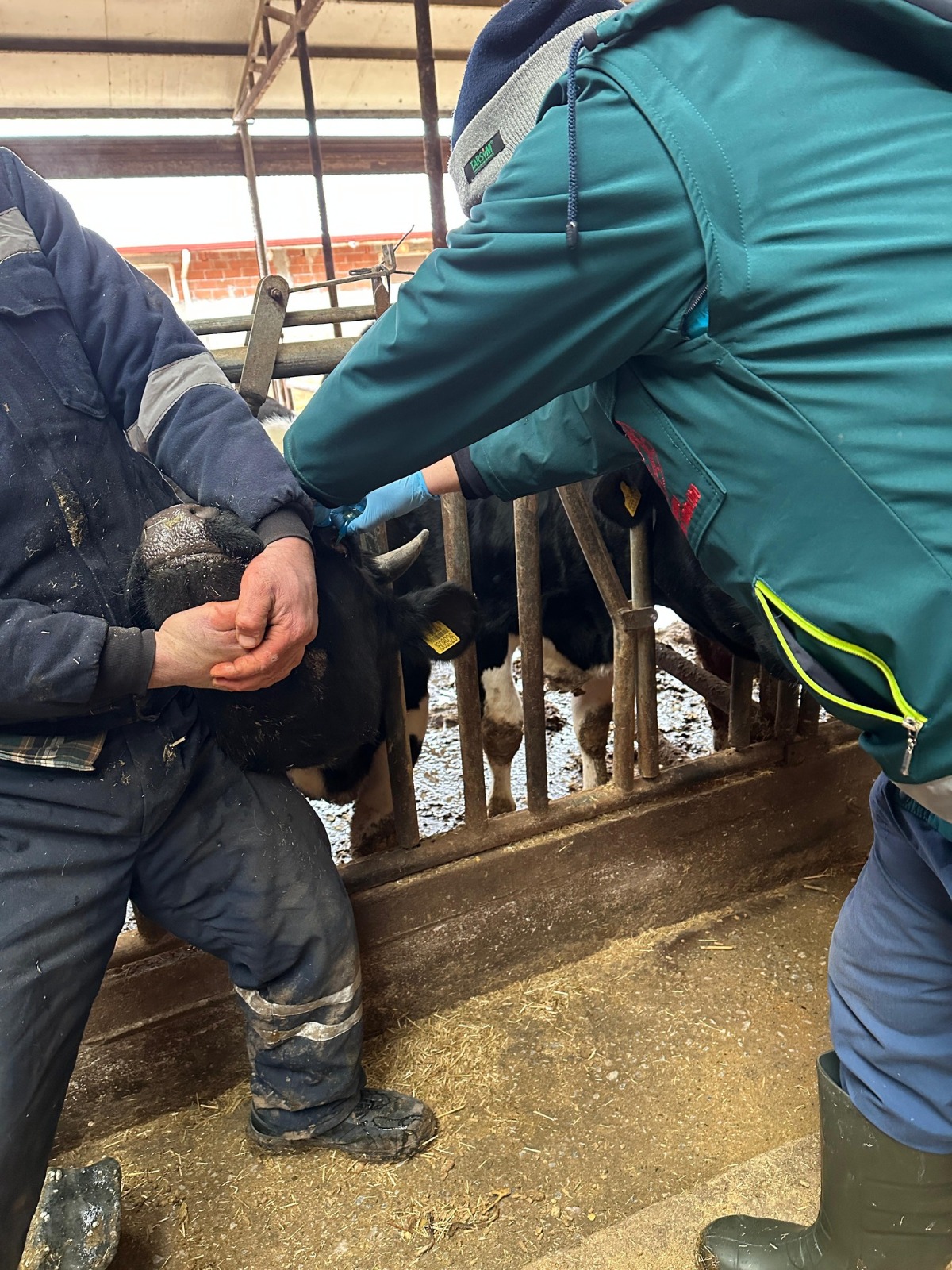 6874Fc37 C744 4741 Af05 80A7Cbfc6A20