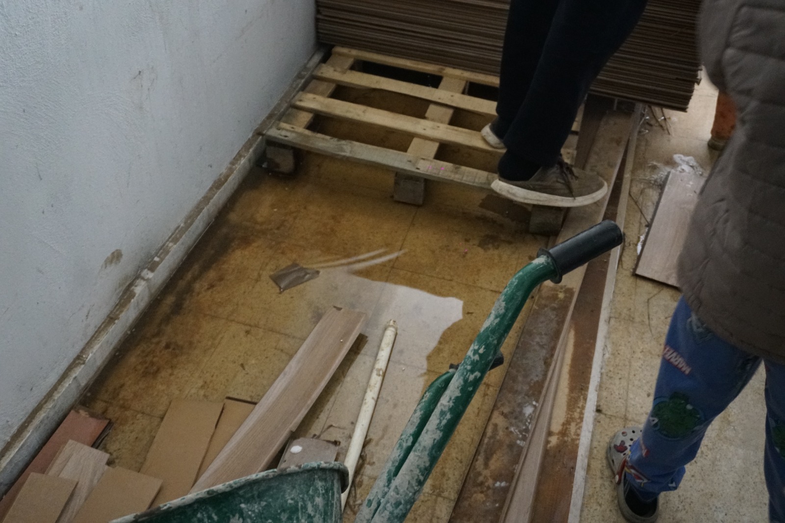 6B33C1F8 1A8D 43B8 B46A Df5E765C9965