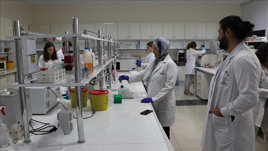 7Ddcf598 E659 4847 8D7D 2Ba00Bfad45D