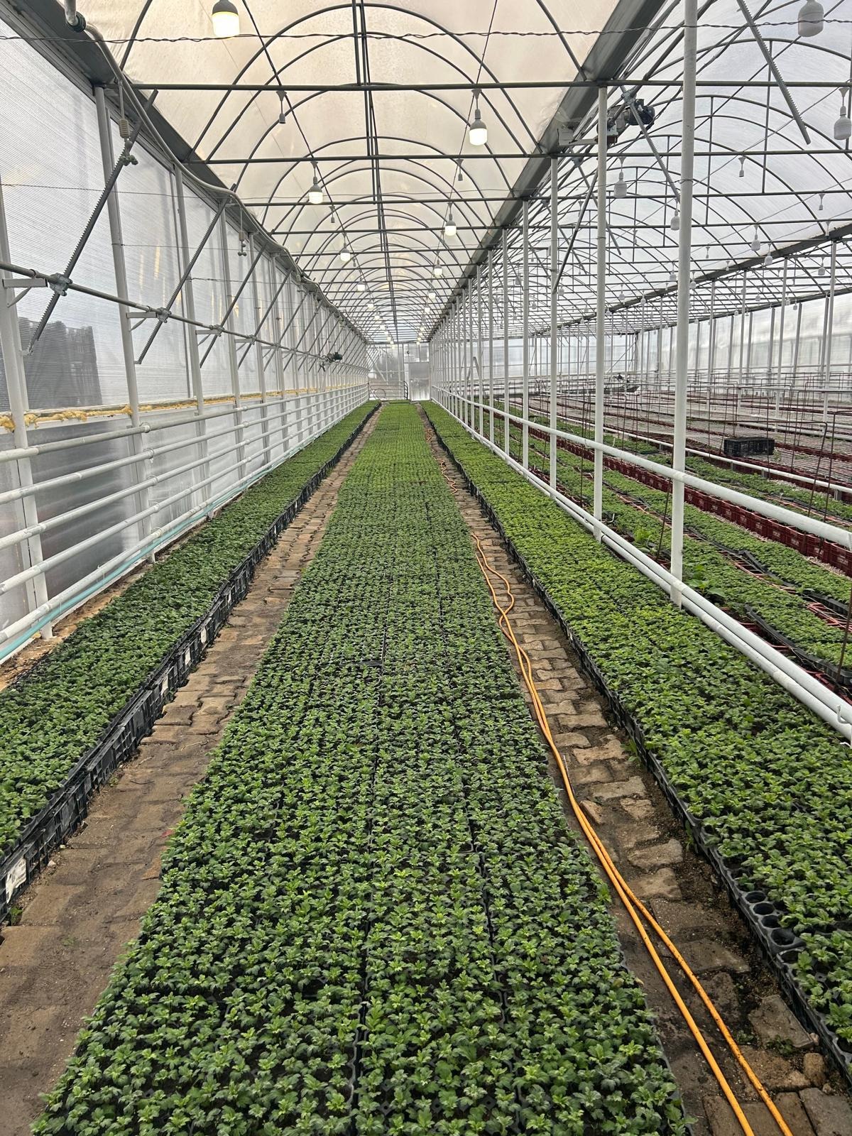 Ae3Bf1C9 6A96 4A94 9D72 56129668867D